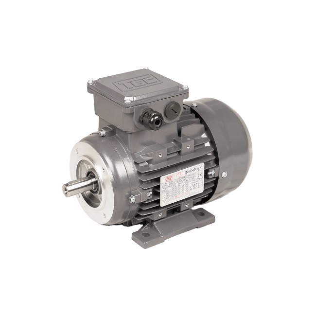 TEC Electric Motor Three Phase 3PH0.12KW2PB34T2 0.12KW 3000rpm Foot & Flange Mounted IE2